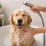 Bathe Your Dog