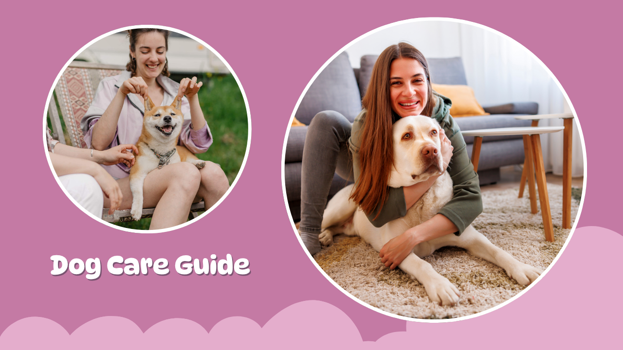 Dog Care Guide