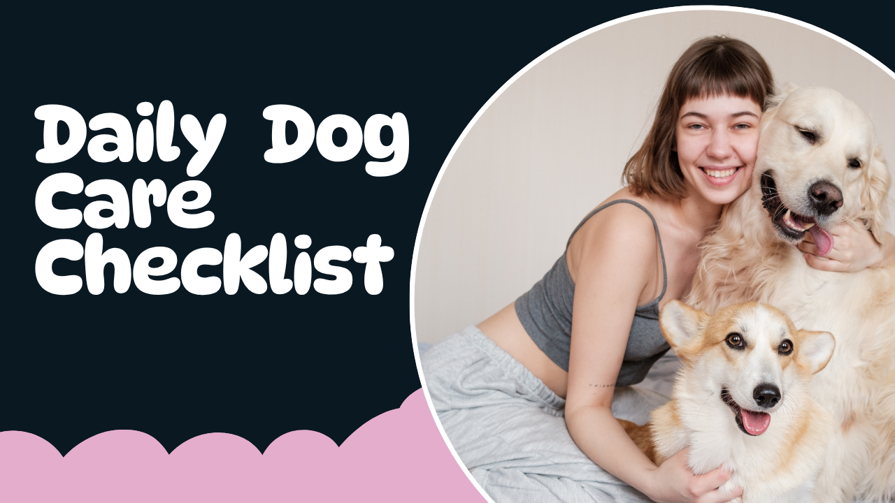 Daily Dog Care Checklist